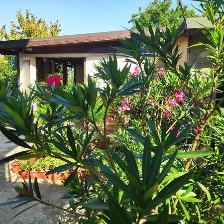 Gasthuis Zhelevа Chernomorets